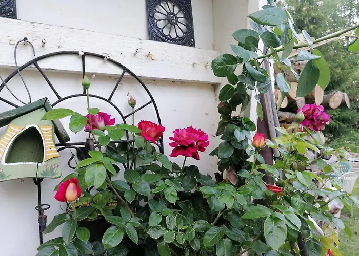 ゲストハウス Viriditas 3*