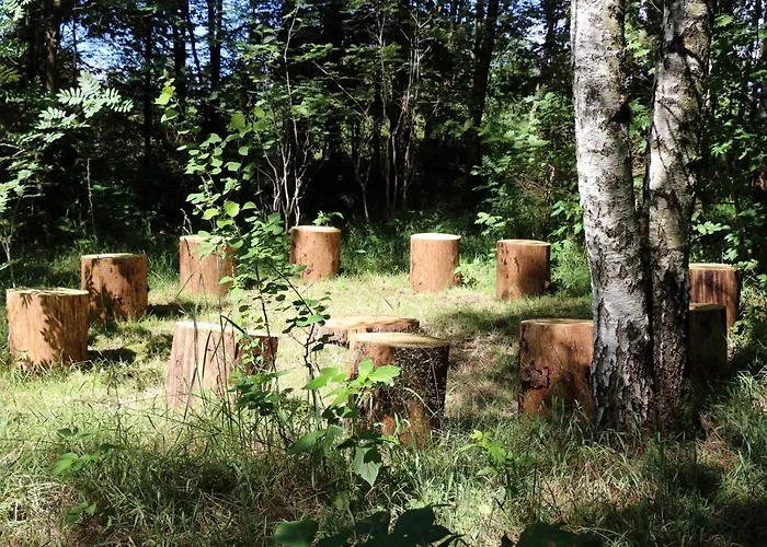 Viriditas ゲストハウス