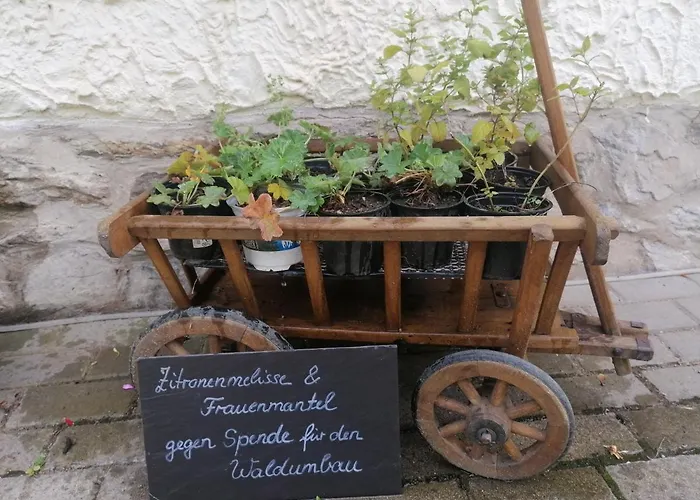 ゲストハウス Viriditas